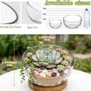 2Pack Slant Cut Bowl, Glass Terrarium, Glass Fish Bowl Vase