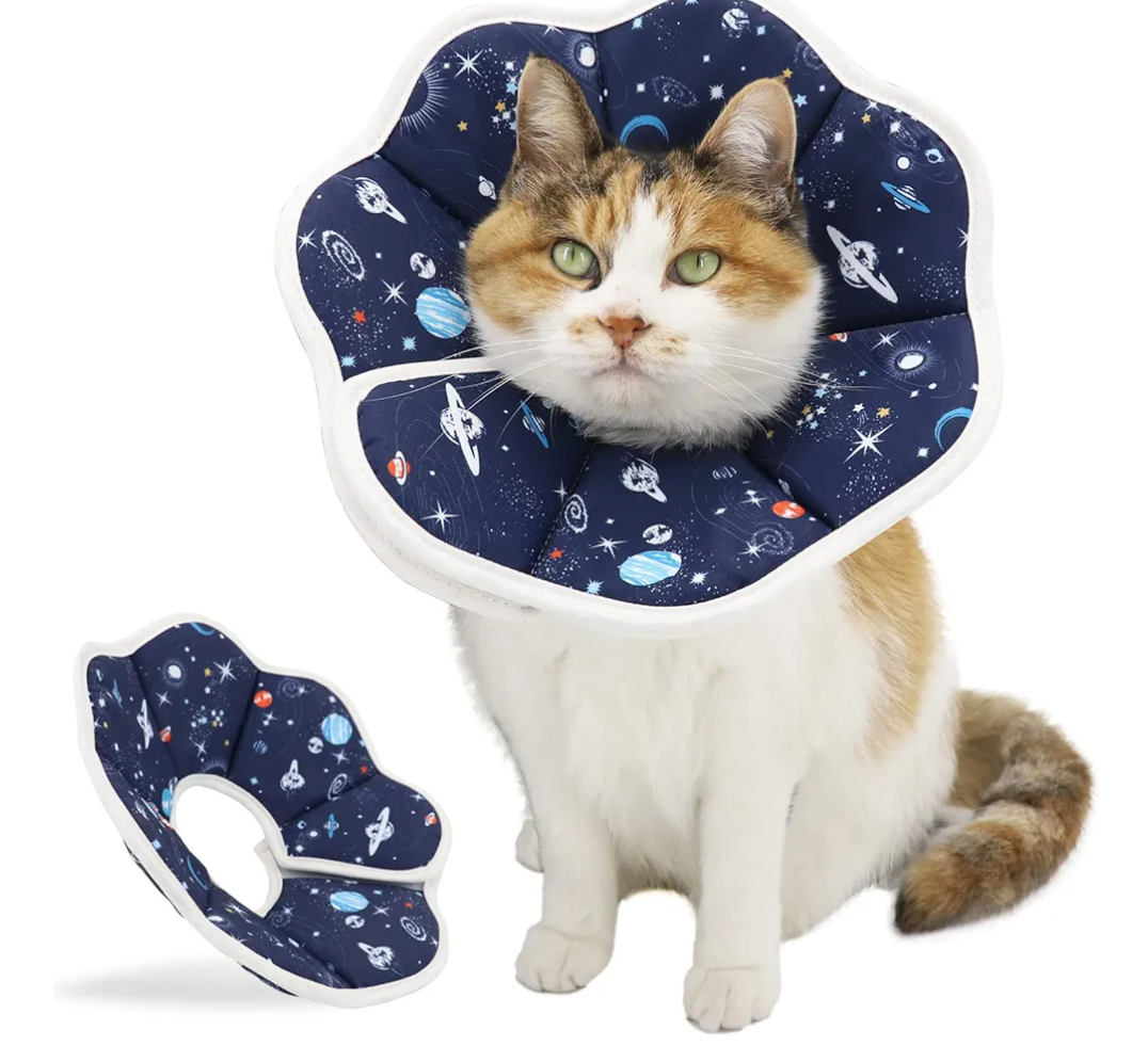 Soft Cat Cone, Adjustable Recovery Collar After Surgery to Prevent Licking Wound, Protective Cat Neck Cone, Comfortable Pet Elizabethan Collar for Cats Kittens and Puppies (M)