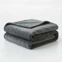 Fleece Blanket Full/Queen - 80x90 Inch Lightweight & Buttery-Soft Throw for Bed, Sofa, Camping | 300GSM Cloud-Touch Microfiber | Cozy Essentials for Travel & Movie Nights, (Alloy)