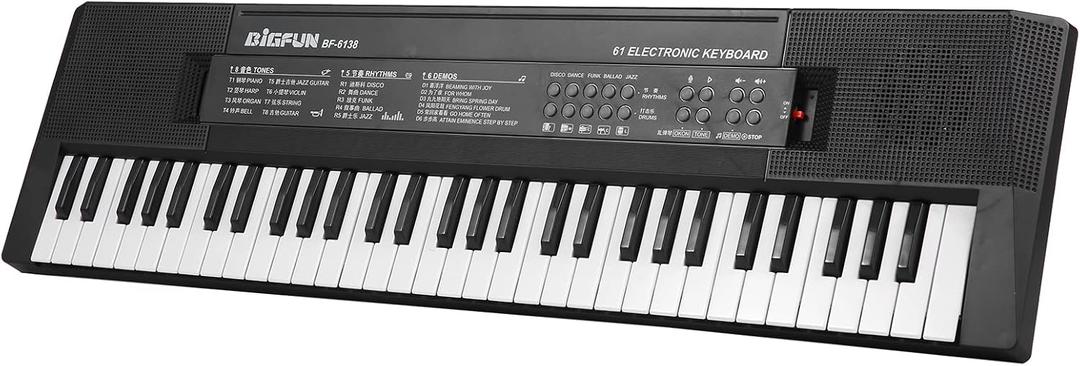 61 Keys Digital Music Electronic Keyboard Kids Multifunctional Electric Piano for Piano Student with Microphone Function Musical Instrument ALKOY