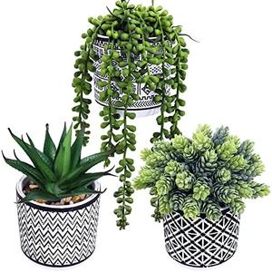 Winlyn  2 Pcs Small Potted Succulents Plants Artificial String of Pearls Aloe Hops Succulents in Black Geometric Concrete Pots for Gifts Modern Home Bathroom Window Table Indoor Outdoor Greenery Décor