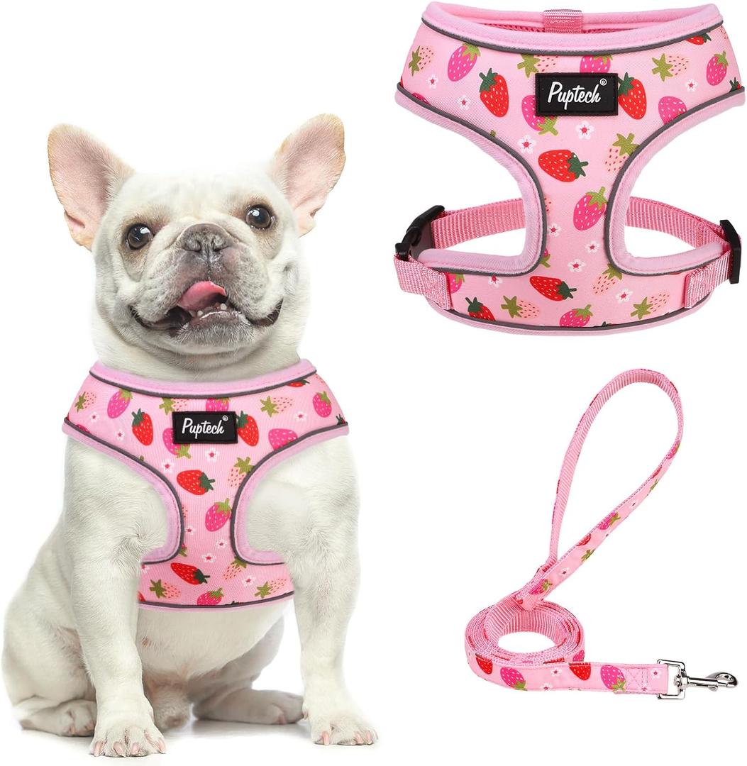 PUPTECK Soft Mesh Dog Harness and Leash Set Pet Puppy Cat Comfort Padded Vest No Pull Harnesses, Strawberry Pink, M