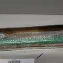 GXARTS Steering Hydraulic Cylinder LVA14159 Compatible With John Deere 4310 4400 4410 LVA14158