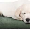 Water-Resistant Dog Bed - Orthopedic Dog Bed with Removable Washable Cover, Non-Slip Bottom, and Egg Crate Style Foam - 25.5in Small Pet Bed - Puppy Essentials by PETMAKER (Green)