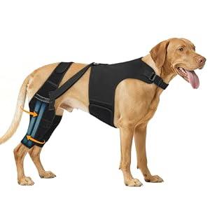 Marnonsis Dog Knee Brace for Torn Acl Hind Leg, Adjustable for Back Leg with 4 Stabilizers, Hip Support to Reduces Pain, Ligament Injuries & Luxating Patella for Small Medium Large Dogs, 2XL