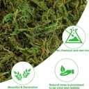YUNVI 35 OZ Large Capacity Artificial Moss for Potted Plants,Natural Fake Moss Grass for Plants Indoor,Craft and Greenery Bulk for Hamsters(Fresh Green)