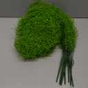 Cindeer 15 Pcs Spanish Moss Faux Hanging Moss Garland Fake Greenery Artificial Decor for Crafts (43 Inch, Green)