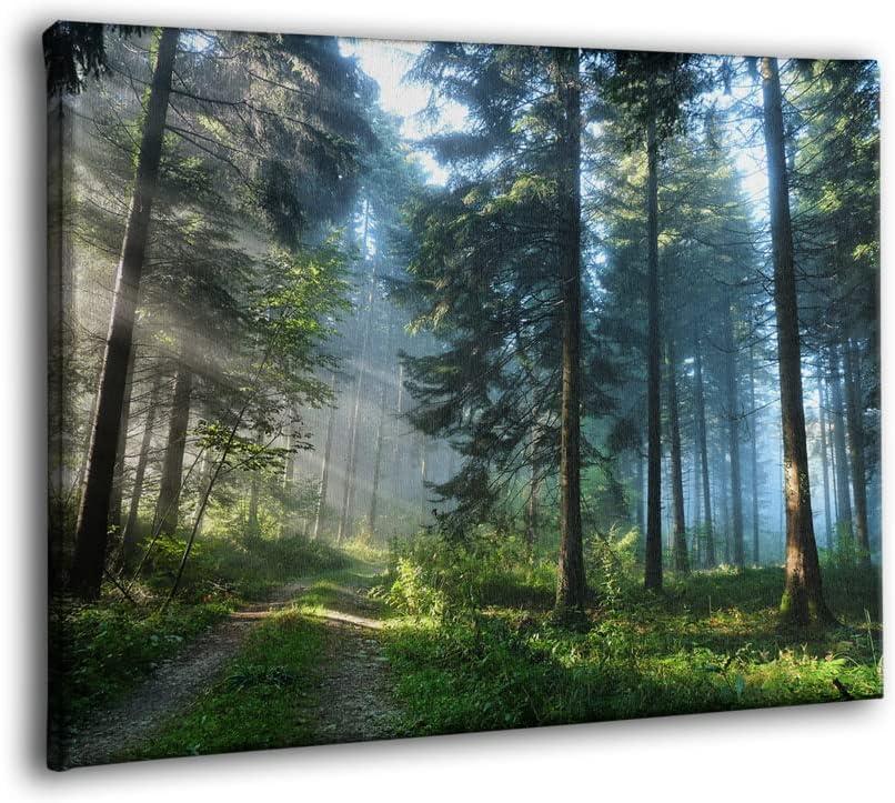 Sunrise Forest Wall Art Green Tree Pictures for Wall Landscape Canvas Print Modern Artwork Framed Nature Wall Decor for Living Room Bedroom Kitchen Office (Forest, 12x16 inch)