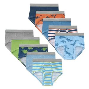 Hanes Toddler Toddler Brief Underwear, Dinosaur Prints, Stripes & Solids, Comfort Waistband & Smooth Seams, 10-Pack 2T/3T