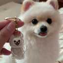 Dog Hair Storage Bottle Keychains Charm Memorial Collector Gift, Pet Fur Keepsake 5pcs with 1pcs Love Metal Photo Frame Locket Keychain (Bichon Frise)