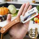 2 x Multi-Functional Vegetable Peeler,2.5mm Stainless Steel Peeler Knife with Ergonomic wooden Handle & Bottle Opener,2 in 1 kitchen Tool for Fruit Apple,Potatoes, Sugar Cane (Silver/Burlywood)