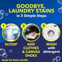 OxiClean Versatile Stain Remover Powder, 5 lb
