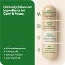 Ashwagandha Complex 800mg with GABA, L-Theanine & B6  Adaptogenic Support for Calm, Focus & Mood  60 Capsules  Stronger Than 600mg - Non-GMO, Gluten-Free (60 Count (Pack of 1))