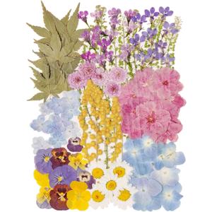 100 PCS Real Dried Pressed Flowers Leaves Natural Plant Herbarium for DIY Envelope Resin Mold Jewelry Making Craft (Pastel)