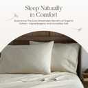 100% Organic Cotton Duvet Cover Twin Size - Naturally Soft Lightweight & Cooling Duvet Cover Set with Decorative Shams - Premium GOTS Certified 300 Thread Count Sateen Weave (Stone, Twin)