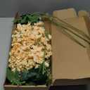 8PCS Delphinium Artificial Flowers Champagne Silk Faux Flowers 33.5'' Long Stem Fake Larkspur Flowers for Tall Vase Home Wedding Garden Table Decor(Champagne)