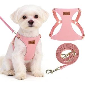 PUPTECK Dog Harness and Leash Set Small Sized, Lightweight Step-in Puppy Harness, Escape Proof No Pull Cute Pet Vest Harnesses, Pink XXS (XXS: Chest Girth 9.5"-11.5")