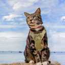 AIWAI Cat Harness and Leash for Walking, Escape Proof Soft Adjustable Vest Harnesses for Cats, Easy Control Breathable Soft Mesh with Control Handle for Large Cat Small Dog, Gift with Patch, Khaki