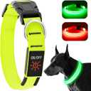 LED Dog Collar - Adjustable, Rechargeable, Waterproof, Glow in Dark for Medium Large Dogs (Green)