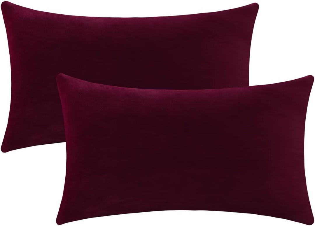 Velvet Lumbar Throw Pillow Covers 11 1/4 ×19.5"