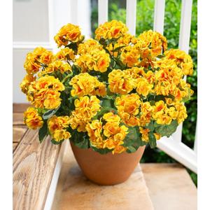 Fake Geraniums Artificial Flowers for Outdoors Winter Decoration, 6 Bundles Silk Geraniums UV Resistant Look Real Yellow Faux Flowers Plants for Front Door Garden Planter Patio Balcony Yard Home