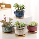 Succulent Pots with Drainage Embossed Dragon Pattern Bottom Bamboo Tray Ceramic Flower Pot 4 PCs Cactus Planter Pots Modern Marble Print Succulent Plant Pots Home Office Desktop Windowsill Dcor