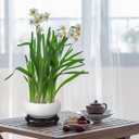 DOITOOL Ceramic Hydroponic Planter Pot with Stable Base 6.3 Inch Blue and White Porcelain Flower Pot Indoor Outdoor Lotus Bowl for Water Plants Garden Decor