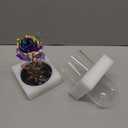Mothers Day Flowers Gifts for Mom Women Birthday Gift Galaxy Glass Rose Forever Eternal Crystal Flowers Rose in Glass Dome with Butterfly Mother's Day Roses Gifts for Mom Daughter Wife Grandma Purple