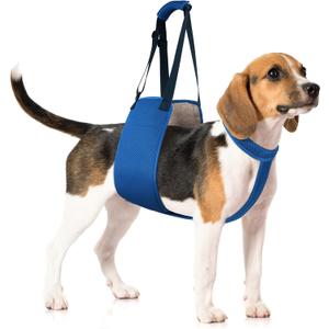Adjustable Dog Lift Harness with Fixing Strap  Dog Lift Sling for Dogs, Hind Leg Support, Soft Rehab Harness for Weak Rear Legs, Ideal for Senior, Injured, Disabled Dogs and Surgery Recovery (M)