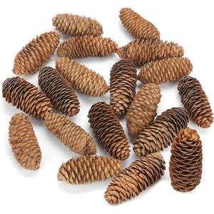 JOHOUSE 18PCS Large Spruce Pine Cones, Big Natural Pinecones for Christmas & Fall/Winter Decor, Vase/Bowl Filler, Wreath & Craft Ornaments