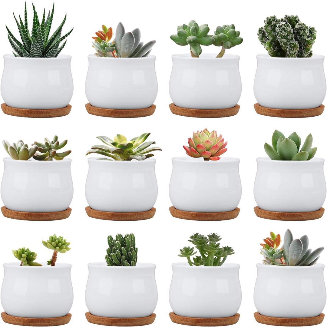 Succluent Pots Small Flower Pots Planter Pots with Drinage,Ceramic Flowers Pots with Bamboo Tray for Cactus(12 Pack