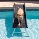 61 Inch Dog Pool Ramp Foldable Non-Slip Dog Ramp for Pool with 20 Inch Support Legs for 200lbs Capacity Fits Above Ground or Inground Pools