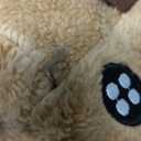 Soyoekbt Kids Reindeer Costume for Christmas Boy Girl Animal Onesies Pajamas for Xmas (8-10 Years, Brown)