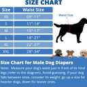 Paw Legend Washable Dog Belly Band Wrap Diapers for Male Dog | High Absorbing Puppy & Doggy Diapers Male (3 Pack,Black,Black,Black,X-Large)