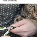 Pet Nail Clippers for Indoor Cats & Small Animals - Precision Angled Blades & Steady Grip - Ideal for Kittens Tiny Dogs Rabbits Birds - Nail Trimmer & Claw Scissors for Home Grooming - eBook + App