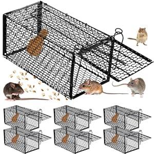 Qualirey 6 Pcs Humane Rat Trap Small Chipmunk Mouse Squirrel Cage Rodent Animal Mice Voles Hamsters Cage Catch and Release Trap for Home Garden Indoor Outdoor(15.4 x 5.5 x 5.5 Inch)