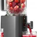 Cold Press Juicer, 5.5inch Wide Feed Chute Juicer Machine, Slow Masticating Juicer for Whole Vegetables & Fruits, Gray