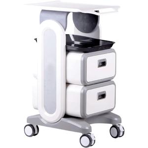 Professional Utility Cart with Wheels - Rolling Dental Office Cart with Drawers - Medical Trolley for Cavitation Machine, Esthetician Supplies, Lab Tools - Salon Trolley (130LB Load / 2 Drawer)