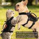 Puppy Harness, Small Dog Harness with Handle, No-Pull Pet Harness for Small Dog Cat(XXS)
