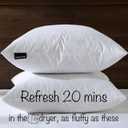 basic home Hotel-Style Goose Feather Down Euro Pillow Insert for Sofa & Bed - 100% Odorless & Plump Cushion Filler - 233TC Cotton with Inner Liner to Prevent Poking (24x24 Inch)