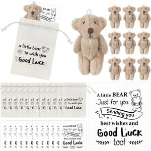 Hoolerry 12 Sets/36 Pcs Good Luck Gifts Pocket Bears Greeting Story Cards with Drawstring Bags Lucky Bear Charms Souvenir Teacher Gifts for Students Friend Coworkers School