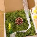 2 x Light Green Moss for Crafts Artificial Moss Decorative for Glass Vase Filler Wedding/Christmas/Fairy Party/Indoor Planters/DIY Rainforest Model/Table Centerpieces (2.1 OZ)