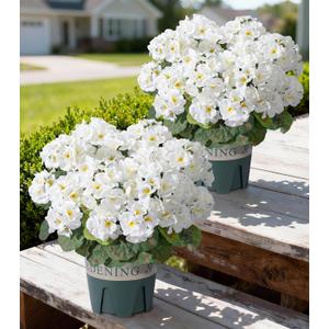 Geraniums Artificial Flowers for Outdoors, 2 Pack Potted Plants White Faux Geraniums Bush Artificial Topiaries Realistic UV Resistant Fake Flowers Plants for Planters Outside Gardens Front Door Indoor