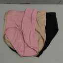 Carole Hochman Women's Underwear Silky Soft Seamless Full Coverage Modern Brief Panties 3 Pack Multipack Regular & Plus Size L