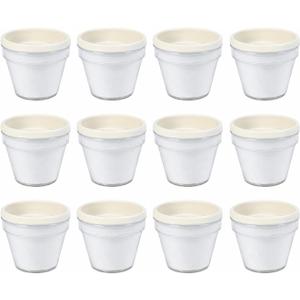Fun Express DIY Flower Pots Bulk Craft Kit for Kids - 12 White Plastic Paint Plant Pots with Paper Inserts | Educational Toys for Painting Activities Ages 8-12 | Perfect for VBS, School & Home Crafts