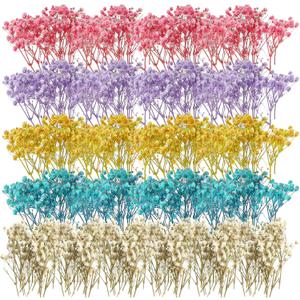Fumete 100 Pcs Mini Dried Baby Breath Flowers Gypsophila Ivory Mixed Color Dried Flowers for Vase Wedding Home Office Party Garden Card Making Decoration Wreath Floral Craft DIY Art