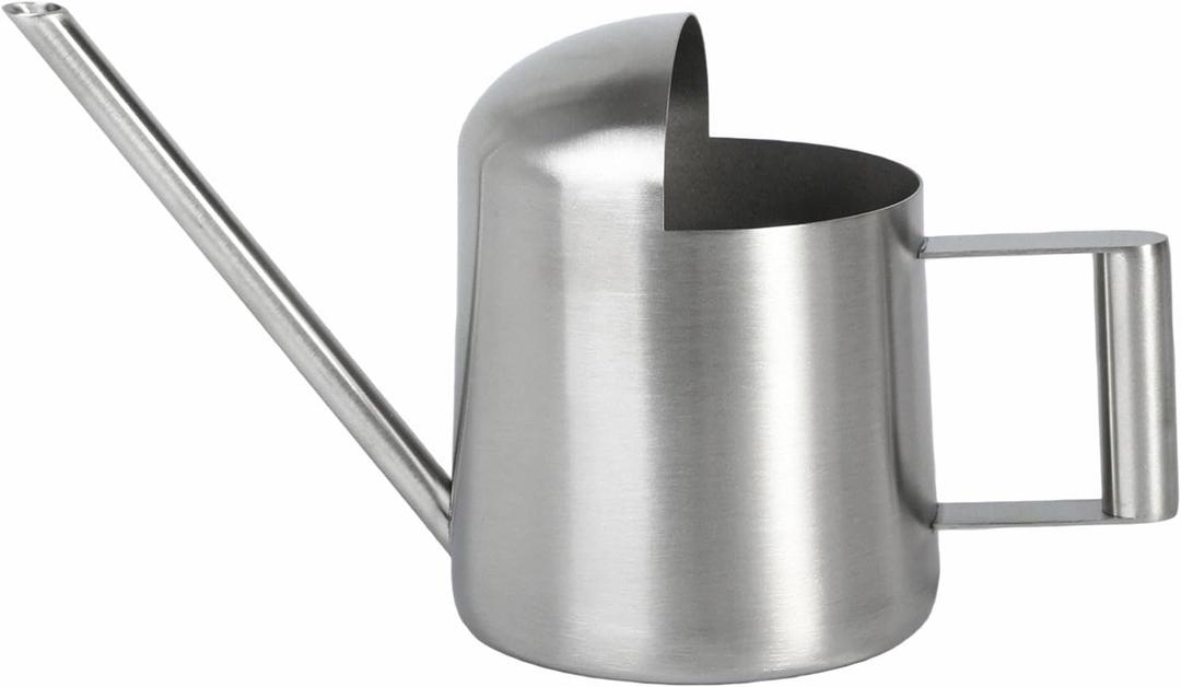 IMEEA Mini Watering Can for Succulents & Bonsai Tiny Stainless Steel Indoor Plant Watering Can with Long Spout for Small Desk Plants, 11oz/300ml