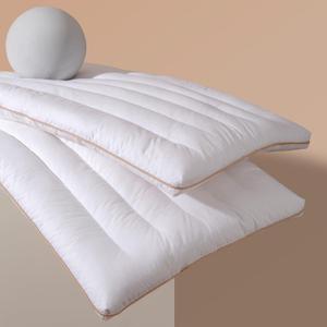 1 Packs Flat Pillows for Sleeping Thin, 2.5 inch Height Ultra Thin Pillows,100% Cotton Slim Bed Pillows for Stomach Sleeper,Standard Size - 18x26 in - 1pcs