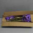 Hollyone Iris Artificial Flowers 15Pcs Faux Iris Purple Flowers 14.2" Real Touch Fake Flowers Picks Bouquets for Wedding Bridal Home Arrangements Office Table Centerpieces Decor