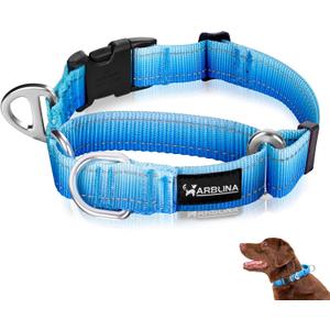 Arblina Martingale Collar for Dogs Large  Heavy Duty Buckle Dog Collar with Tag Ring Reflective Nylon Gradient Dog Collar No Pull Training Collar, L